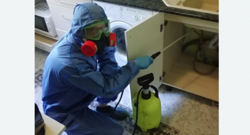 Уничтожение муравьев в квартире. Вилючинск