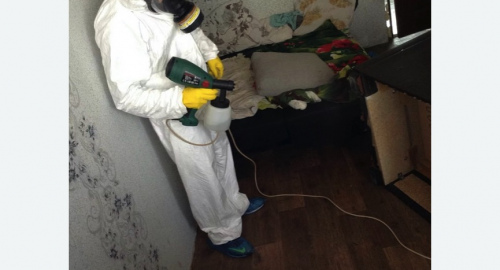 Обработка квартир от насекомых в Вилючинске