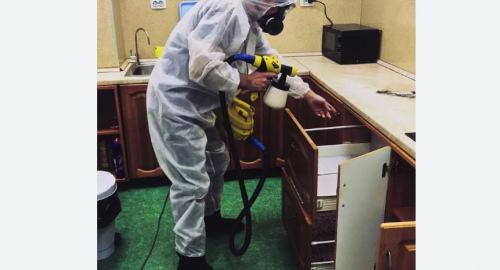 Дезинсекция квартиры. Вилючинск
