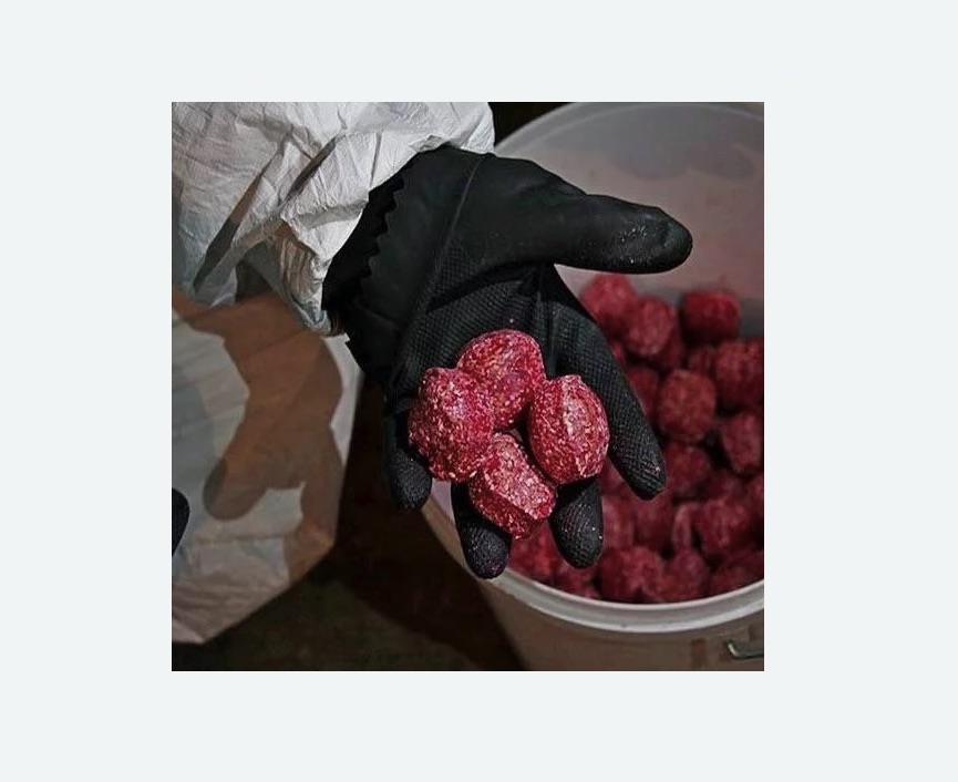 Обработка от крыс в Вилючинске