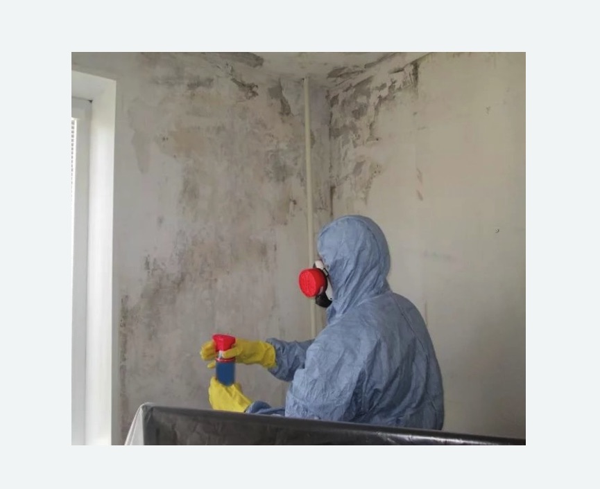 Удаление плесени в квартире в Вилючинске