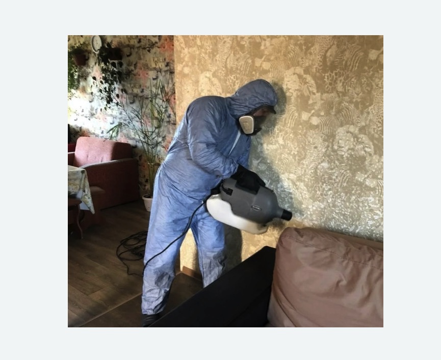 Уничтожение блох в квартире. Вилючинск Уничтожение блох в квартире