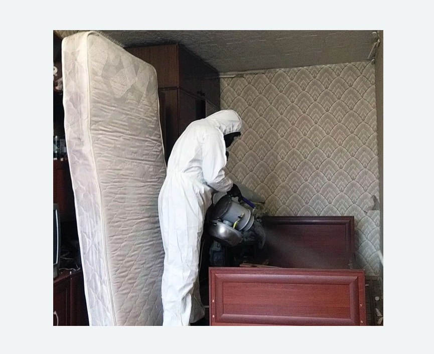 дезинфекция от клопов в Вилючинске