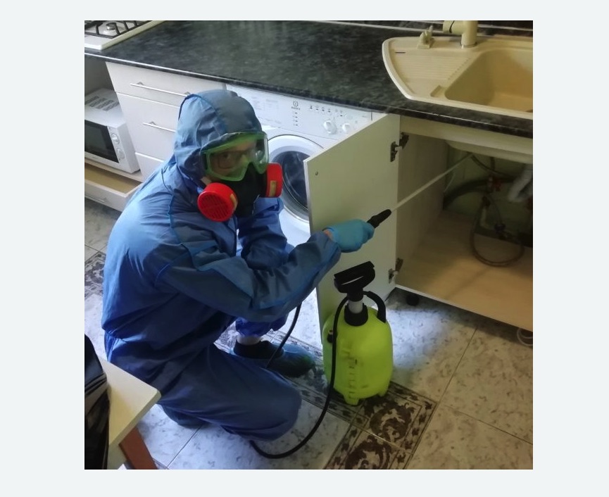 обработка от муравьев в квартире в Вилючинске