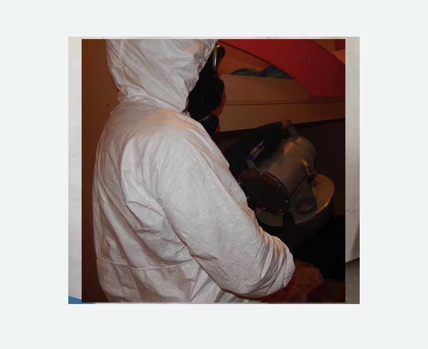 Дезинфекция от муравьев в Вилючинске